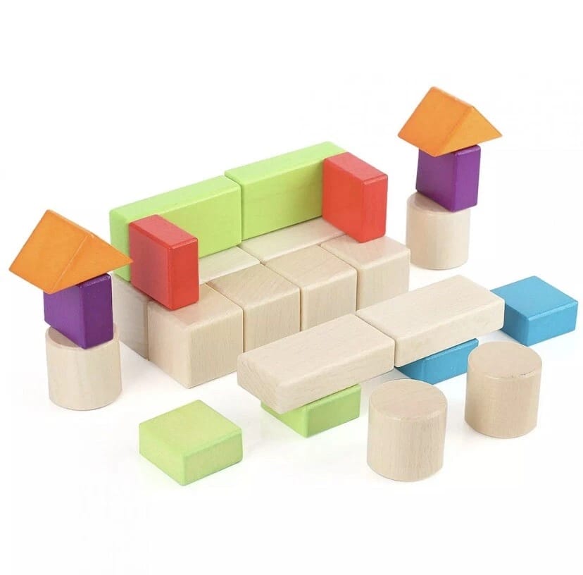 30 Pcs Wooden Color Blocks Set