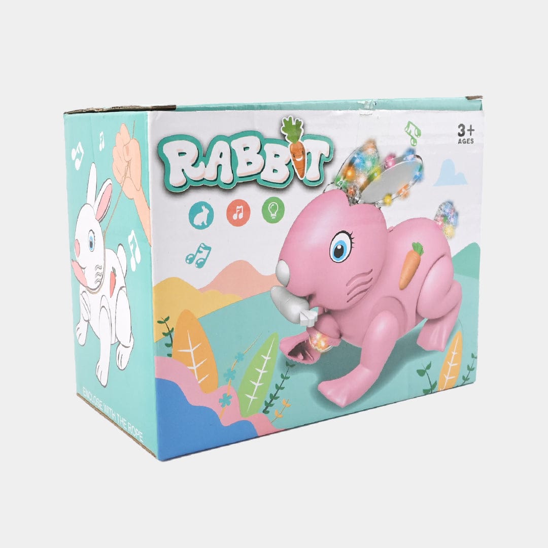 Rabbit Music /Lightening Toys For Kids