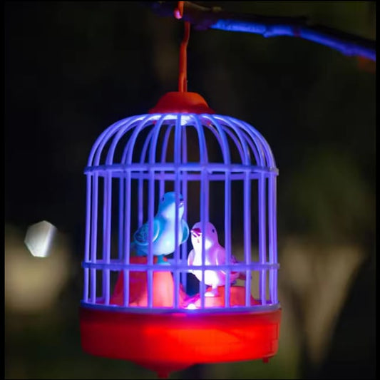 Musical light Bird cage with 2 birds beautiful toy for children’s