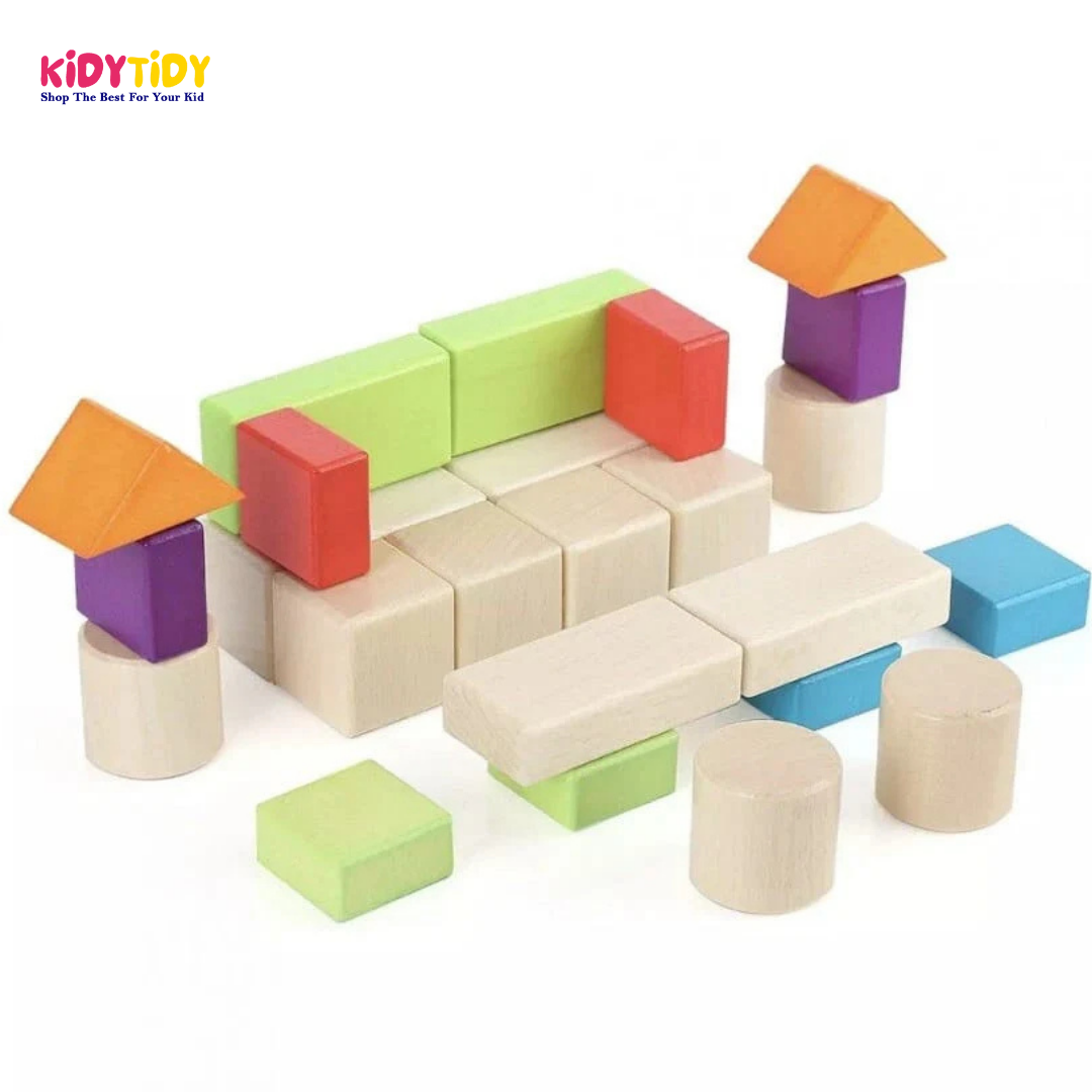 30 Pcs Wooden Color Blocks Set