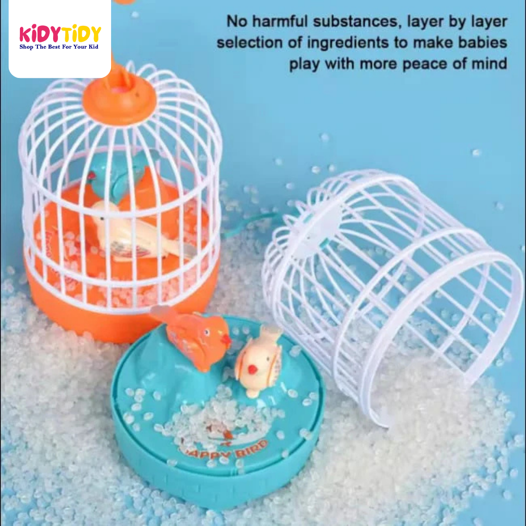 Musical light Bird cage with 2 birds beautiful toy for children’s