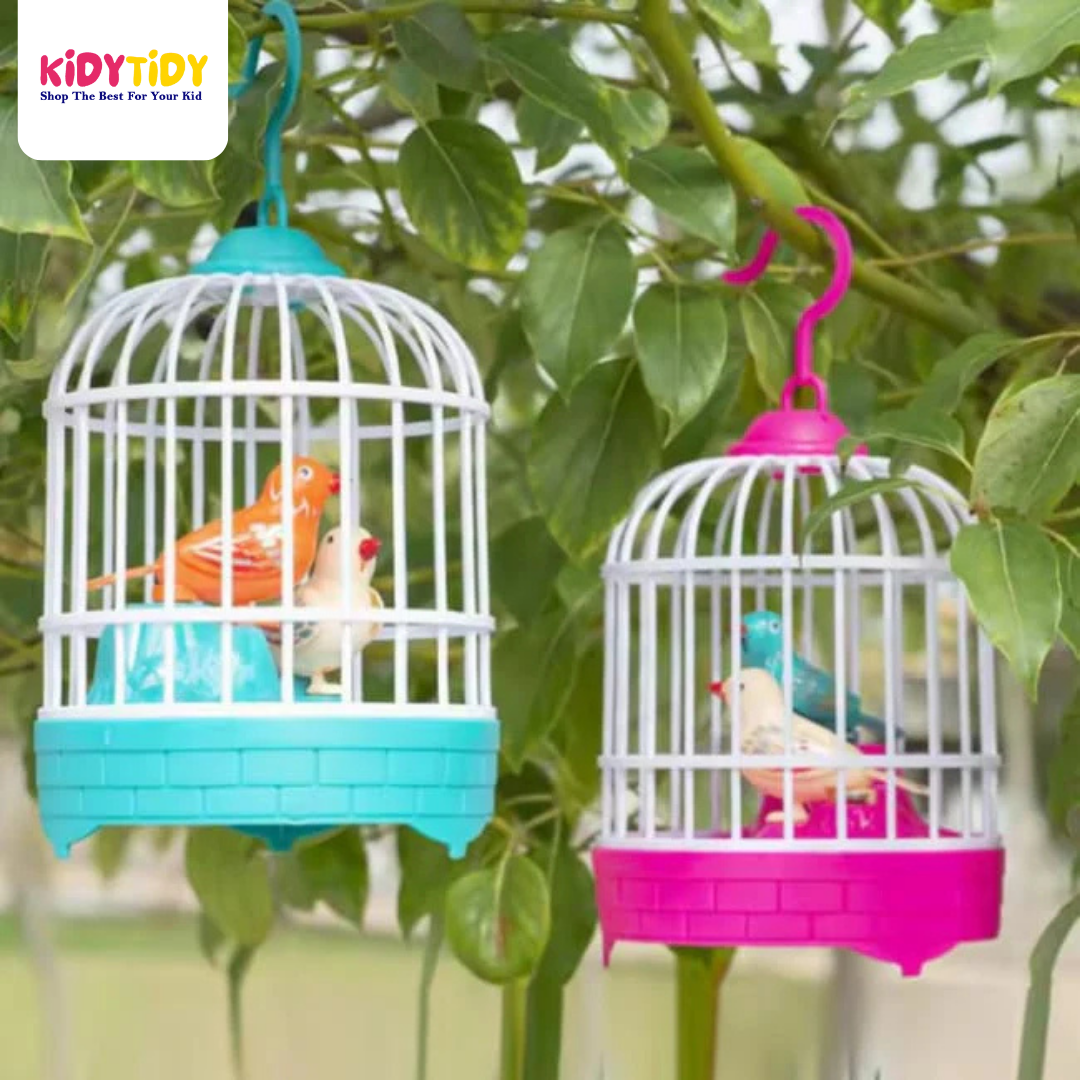Musical light Bird cage with 2 birds beautiful toy for children’s