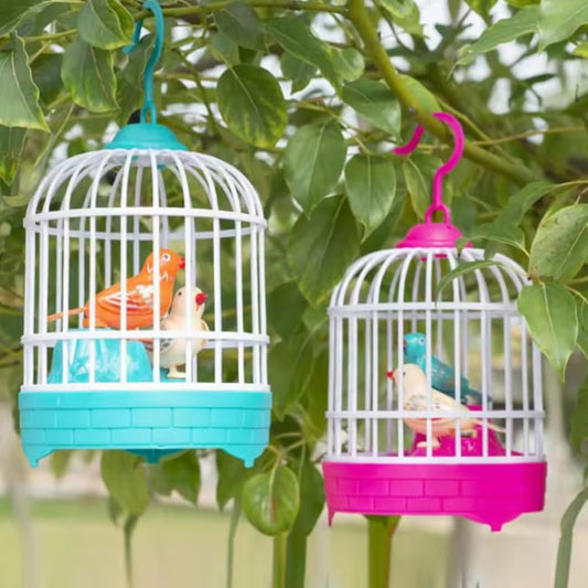 Musical light Bird cage with 2 birds beautiful toy for children’s