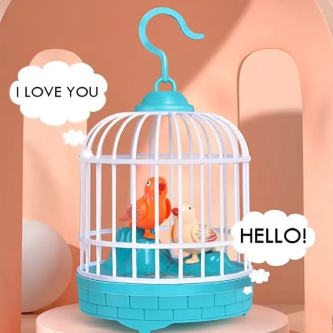 Musical light Bird cage with 2 birds beautiful toy for children’s